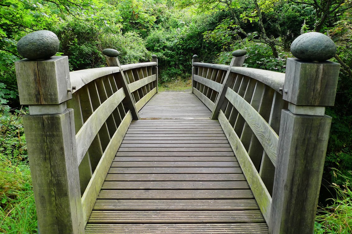 A Bridge Outdoors